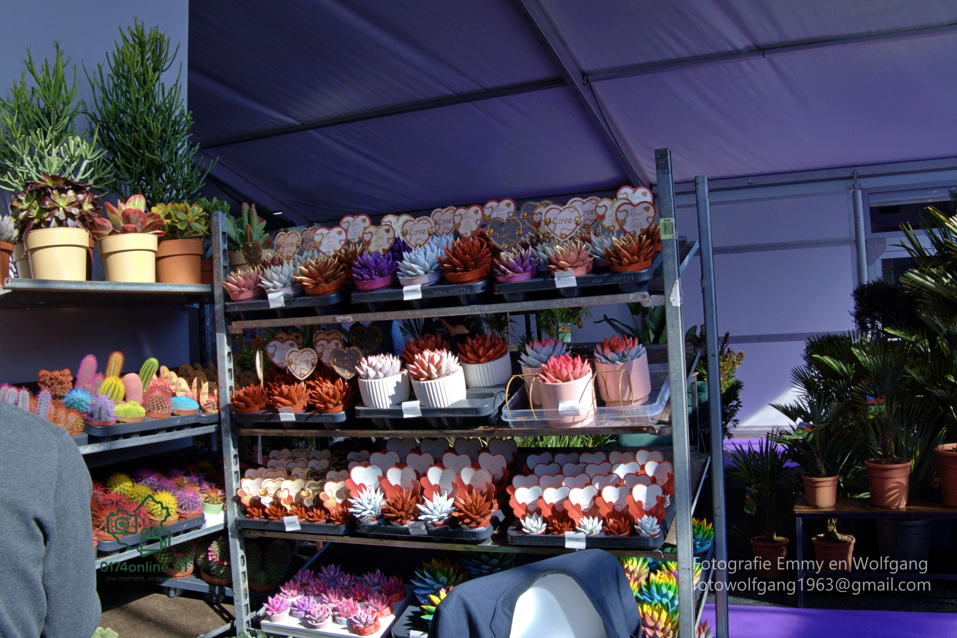 Flora Spring Expo Aalsmeer 2026